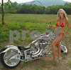 RoadRashMagazine > August 07 Biker Chick Rabecca Lee photo